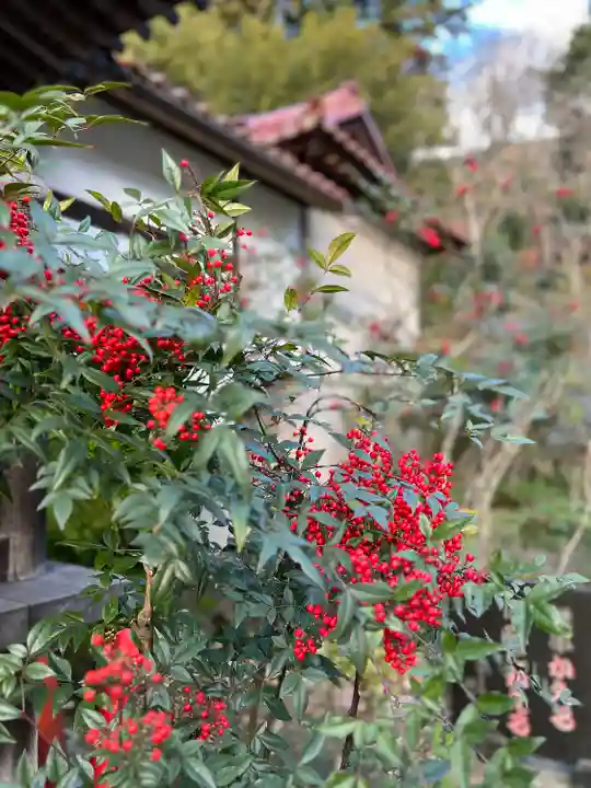 三光寺(栃木県)