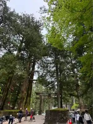 日光東照宮(栃木県)