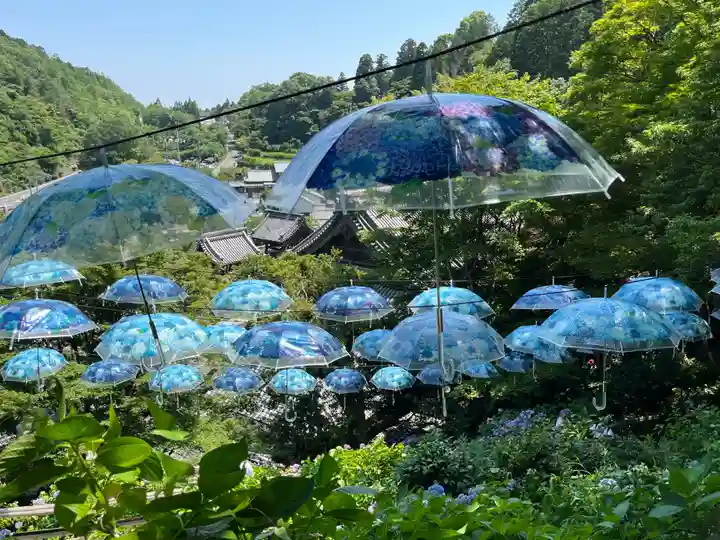 柳谷観音 楊谷寺(京都府)