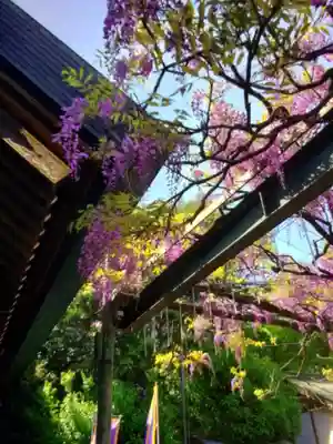 國領神社(東京都)