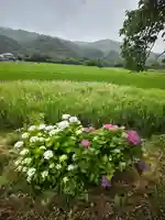 高司神社〜むすびの神の鎮まる社〜(福島県)