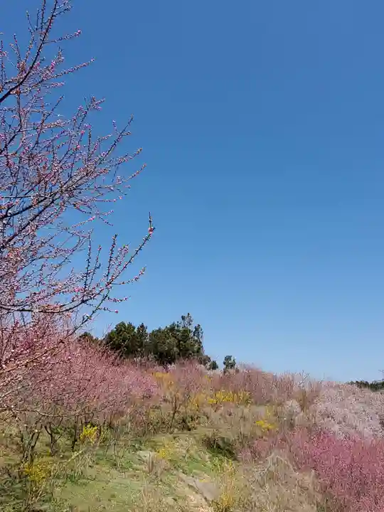 日枝神社(福島県)