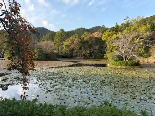 龍安寺(京都府)
