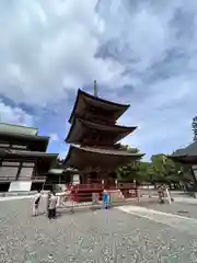 成田山新勝寺の塔