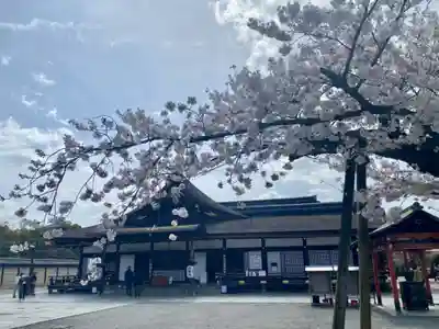 東寺（教王護国寺）(京都府)