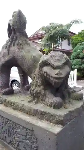 伊達神社の狛犬