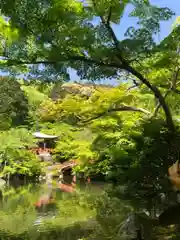 醍醐寺(京都府)