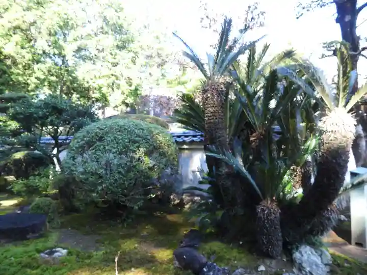 國分寺(高知県)