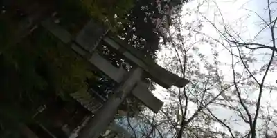 稗田野神社(薭田野神社)(京都府)