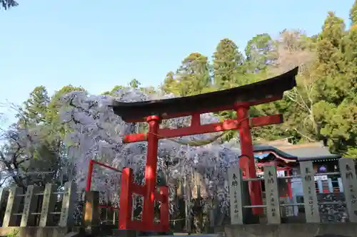 小川諏訪神社の鳥居