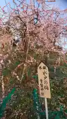 大縣神社の庭園