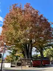 盛岡八幡宮の庭園