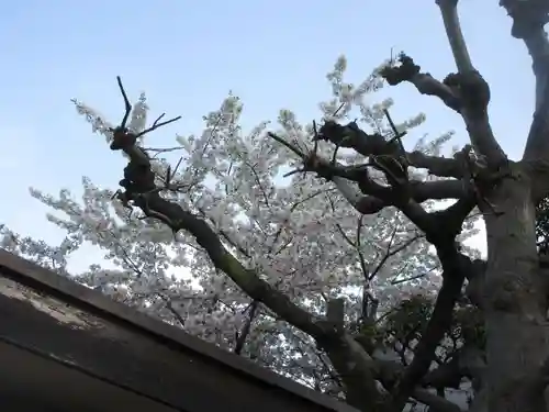 白鬚神社(東京都)