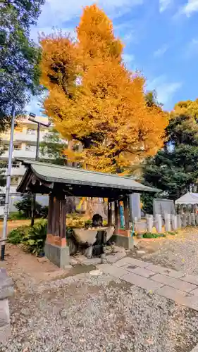 前原御嶽神社の手水舎