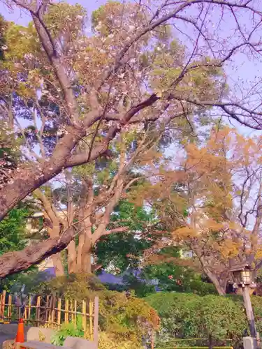 伊勢山皇大神宮の自然