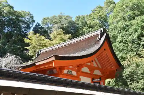 出雲大神宮の本殿