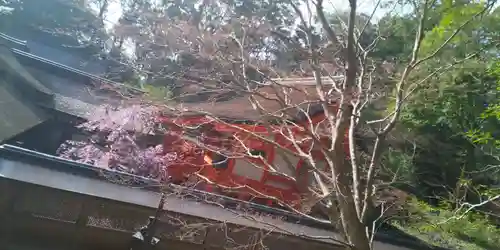 出雲大神宮のその他建物