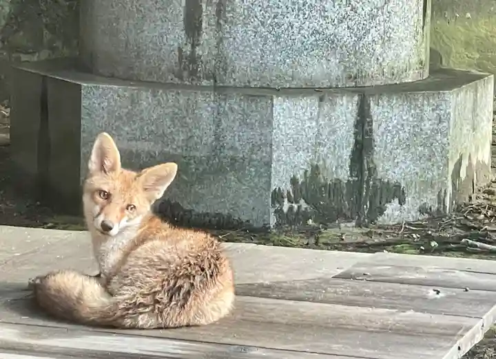 伊勢の国 四天王寺(三重県)