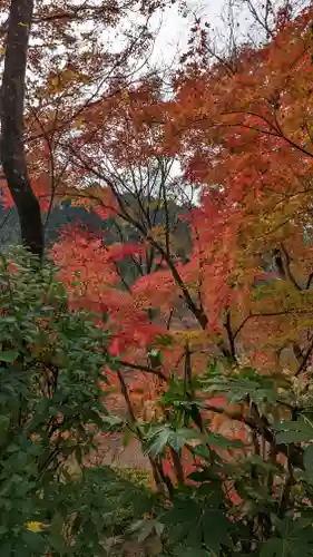 三室戸寺(京都府)