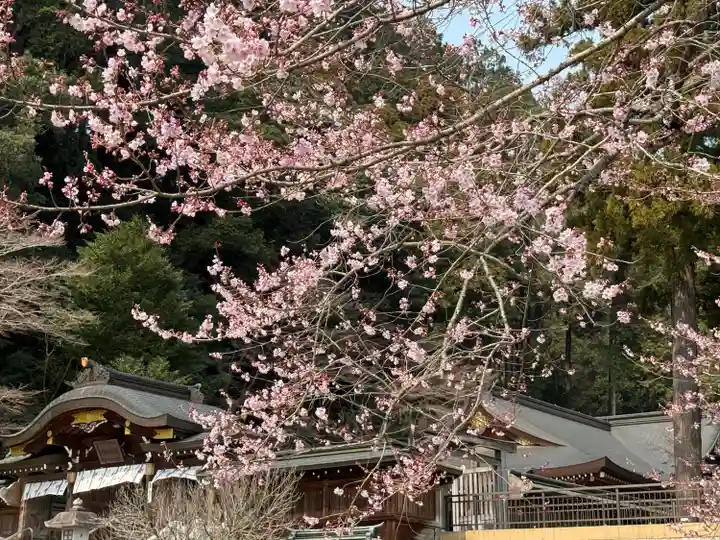 高麗神社(埼玉県)