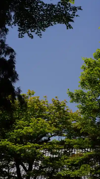 三千院門跡(京都府)