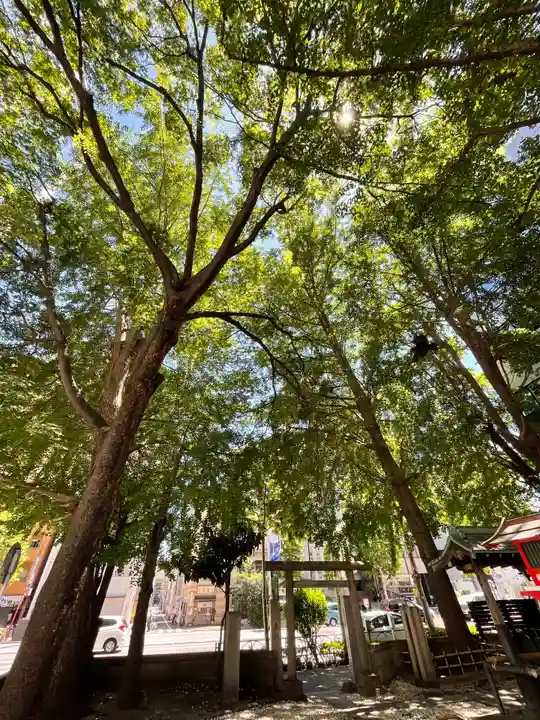 銀杏八幡宮の自然