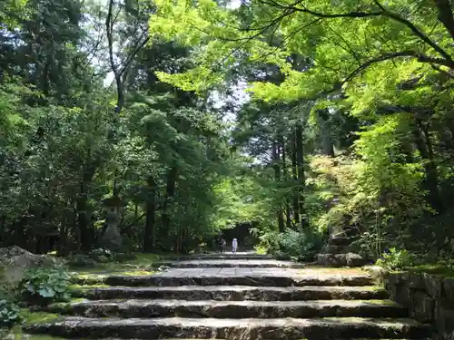 竹林寺の景色