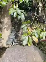 元祇園梛神社・隼神社(京都府)