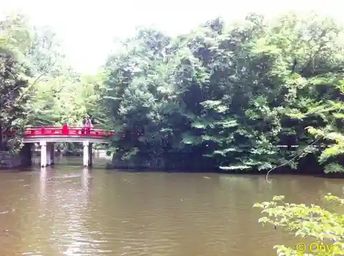 武蔵一宮氷川神社の自然