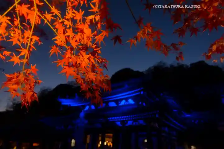 長谷寺(神奈川県)