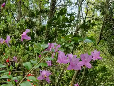 高御位神宮の自然