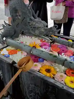 柳谷観音 楊谷寺の手水舎