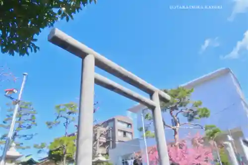 桜神宮(東京都)