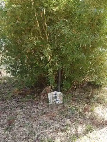 小町神社の自然