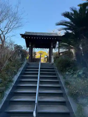 光照寺の{uncategorized: "未分類", other: "その他", undefined: "問題あり", building: "その他建物", grave: "お墓", sacred_gate: "鳥居", guardian: "狛犬", statue: "像", buddha: "仏像", history: "歴史", nature: "自然", garden: "庭園", animal: "動物", pagoda: "塔", temizu: "手水舎", mountain_gate: "山門・神門", sanctuary: "本殿・本堂", subordinate: "末社・摂社", art: "芸術", scenery: "景色", jizo: "地蔵", ema: "絵馬", goshuin: "御朱印", omikuji: "おみくじ", items: "授与品その他", amulet: "お守り", goshuincho: "御朱印帳", eats: "食事", festival: "お祭り", votive_dance: "神楽", shichigosan: "七五三参", wedding: "結婚式", experience: "体験その他", initially: "初詣", around: "周辺", anti_infection: "感染症対策"}