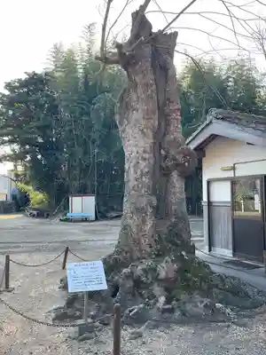 八幡神社(滋賀県)