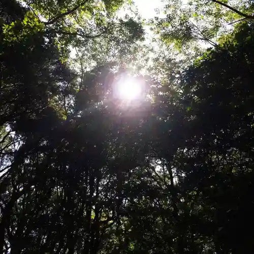 稲荷神社の自然