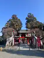 箱崎八幡神社(鹿児島県)