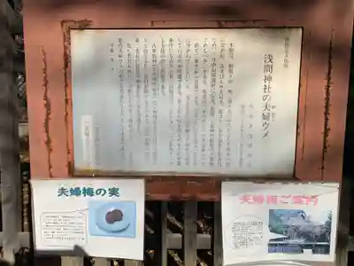 甲斐國一宮 浅間神社(山梨県)