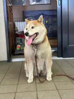 笠䅣稲荷神社(神奈川県)