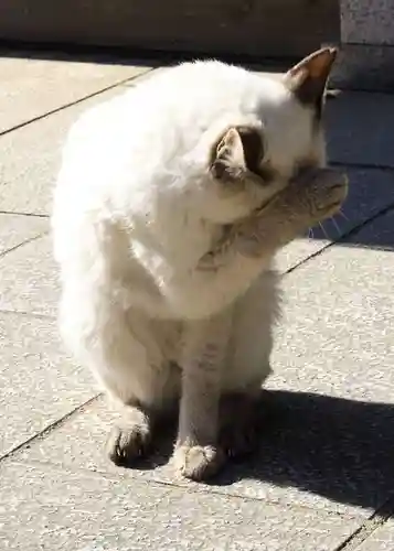 一乗寺(兵庫県)