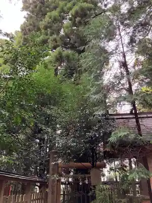 幣立神宮(熊本県)