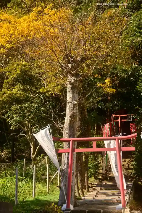 大江稲荷(神奈川県)