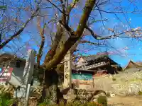 関善光寺の自然