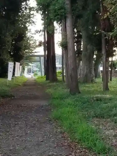 酒門神社の自然