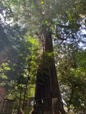 須佐神社(島根県)
