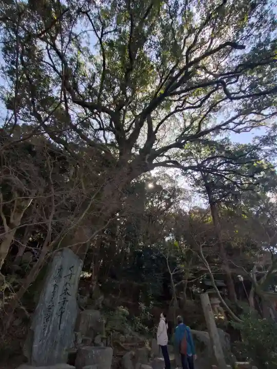 太宰府天満宮(福岡県)