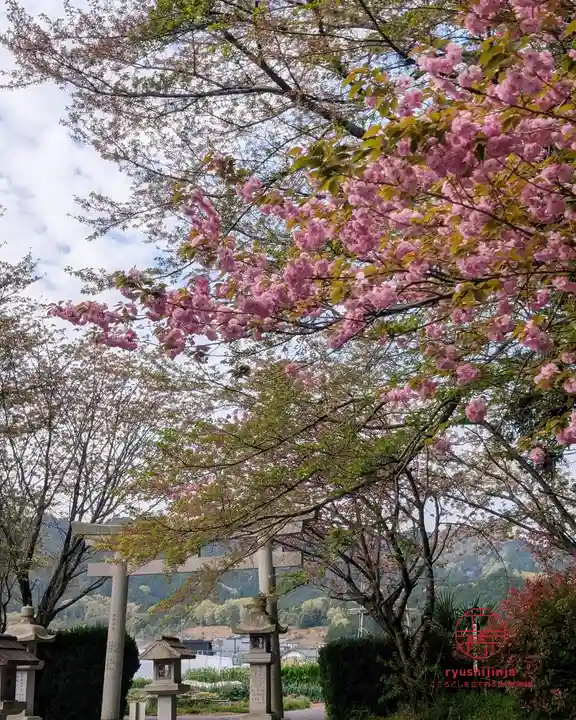 立志神社(滋賀県)