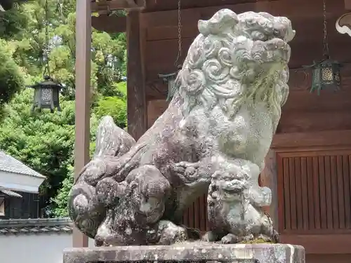 八幡宮（八幡町）の狛犬