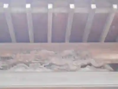 山の根熊野神社の芸術